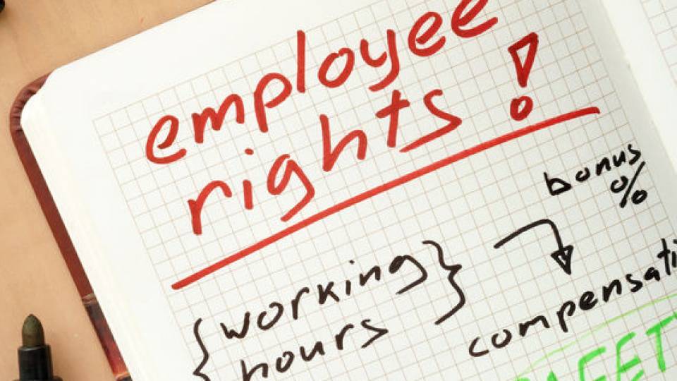 Committed to providing effective HR Support