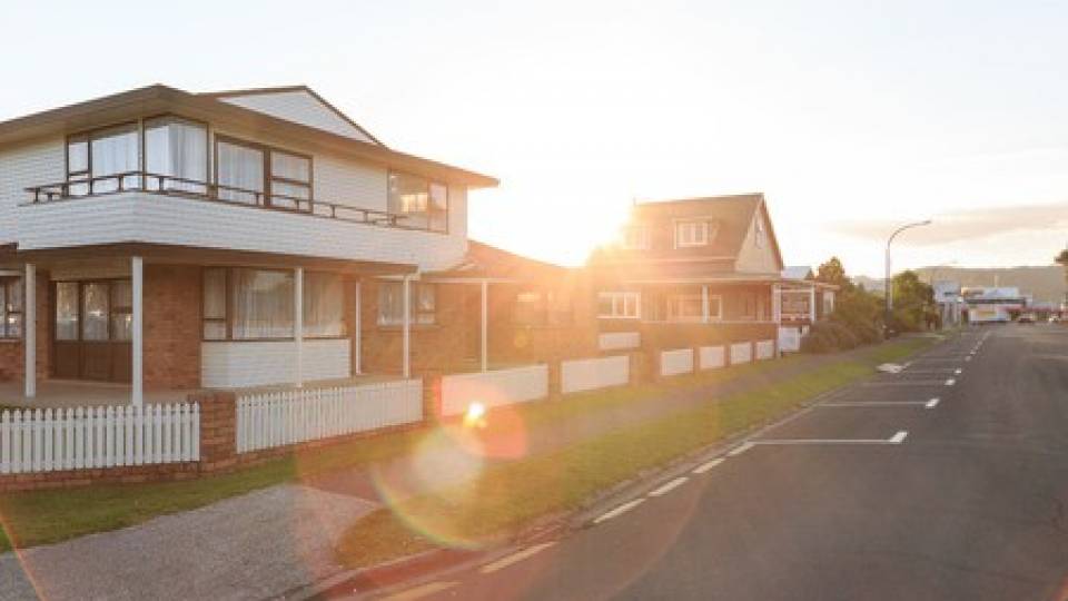 Immigration Support | Helping settlement to Kiwi life